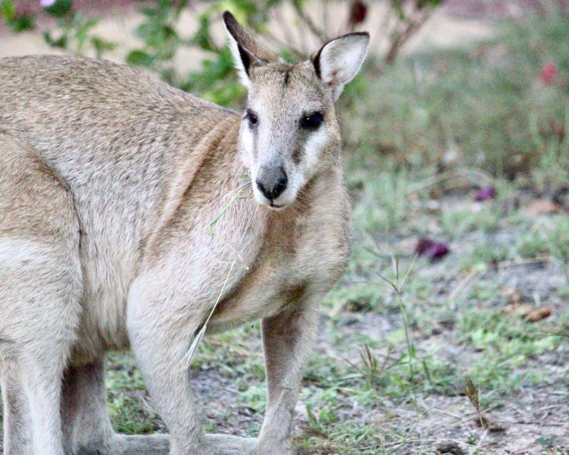 Matildas End Holiday Units Karumba Εξωτερικό φωτογραφία